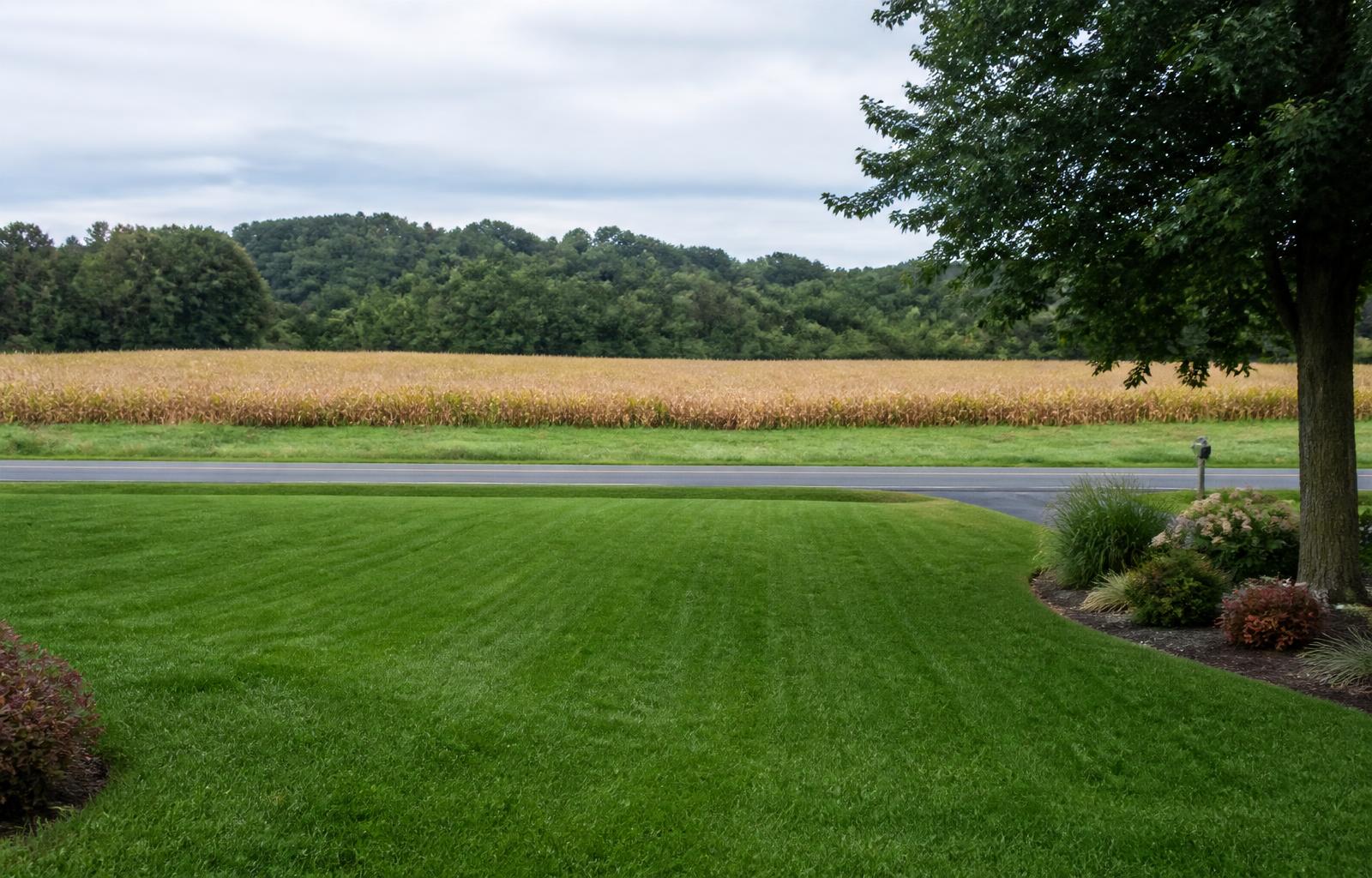 Well-maintained Pennsylvania lawn in front of farmland and a treeline