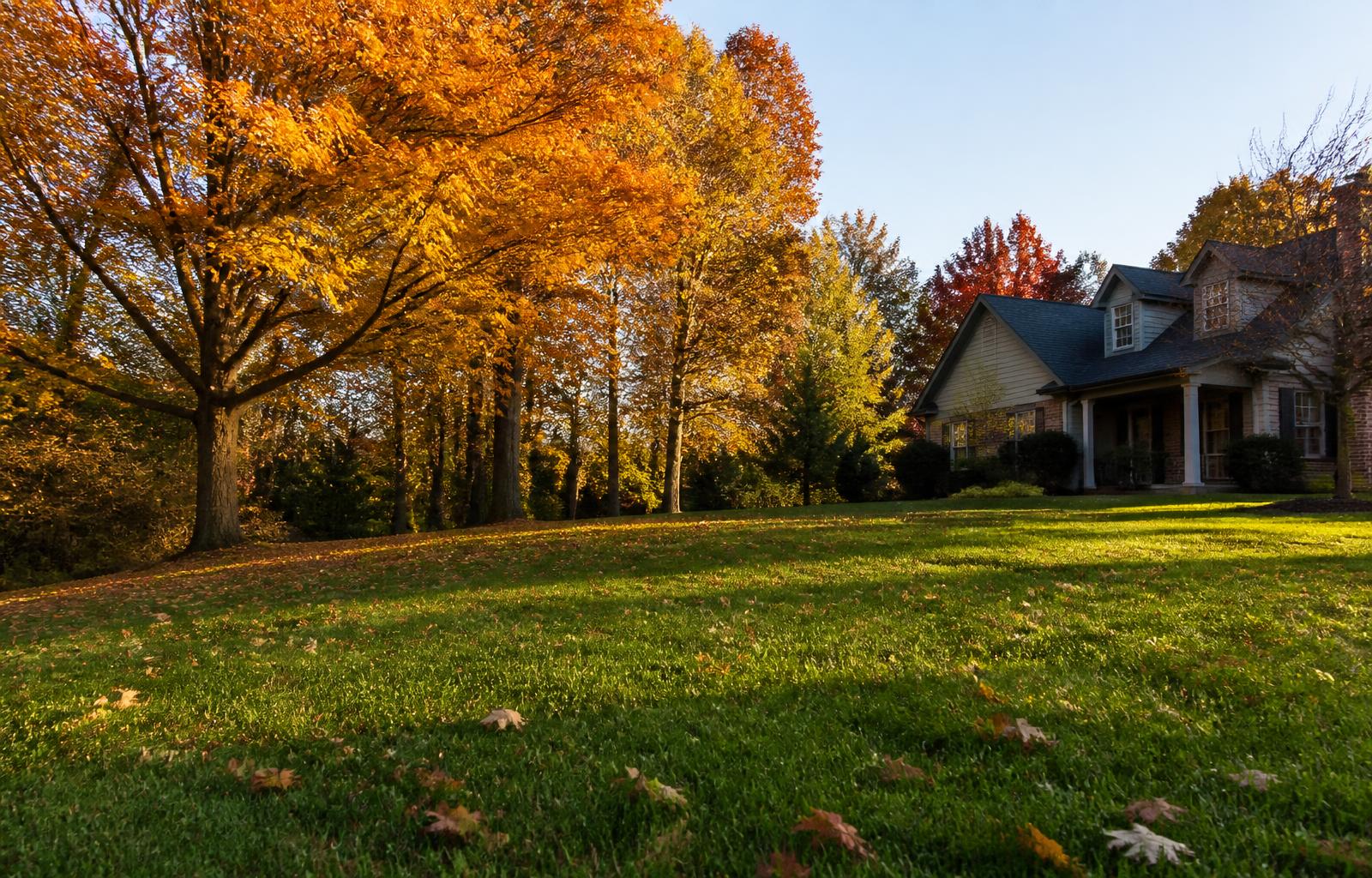 Pennsylvania lawn in autumn with fallen leaves and colorful trees